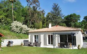 Les Yuccas -Maison Neuve Avec Un Jardin A Saint Paul De Vence